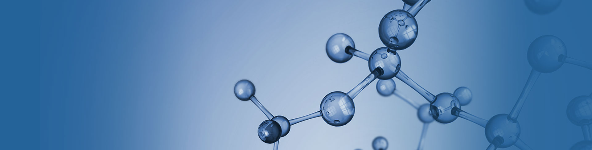 �����;�����֬